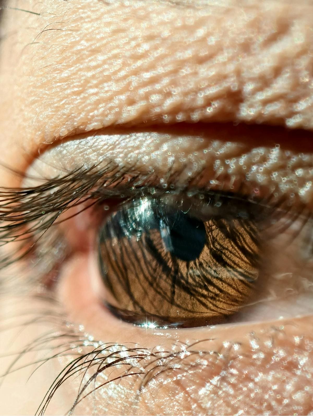 Best AI Iridology Tools in 2026: Every Major Platform Compared